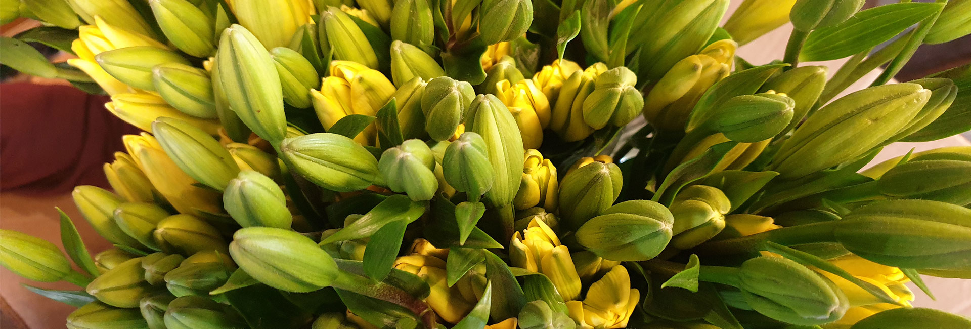 Flower Delivery in Delhi